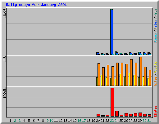 Daily usage for January 2021