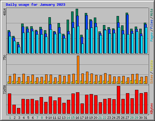 Daily usage for January 2023