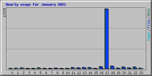 Hourly usage for January 2021