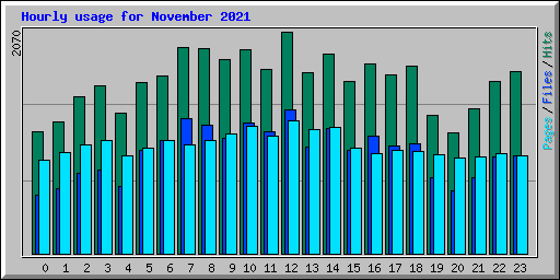 Hourly usage for November 2021