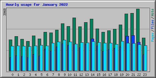 Hourly usage for January 2022