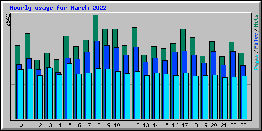 Hourly usage for March 2022