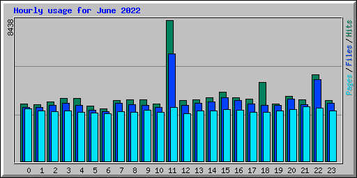 Hourly usage for June 2022