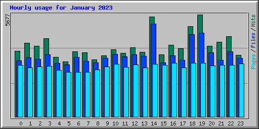 Hourly usage for January 2023