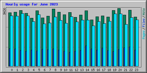 Hourly usage for June 2023