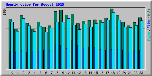 Hourly usage for August 2023