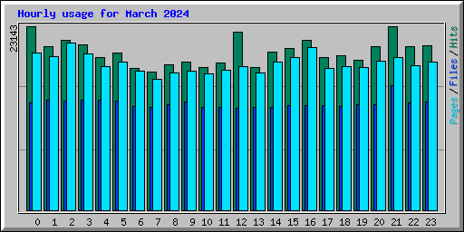 Hourly usage for March 2024