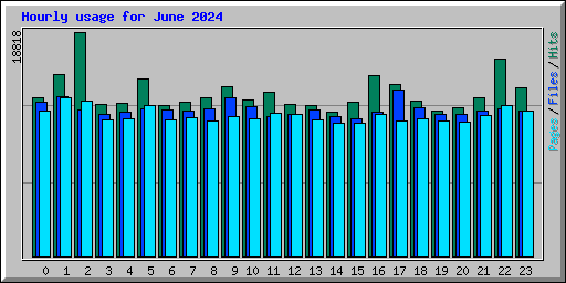 Hourly usage for June 2024