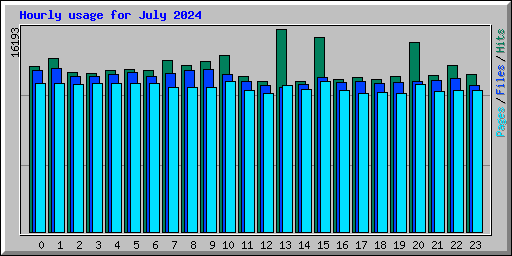 Hourly usage for July 2024