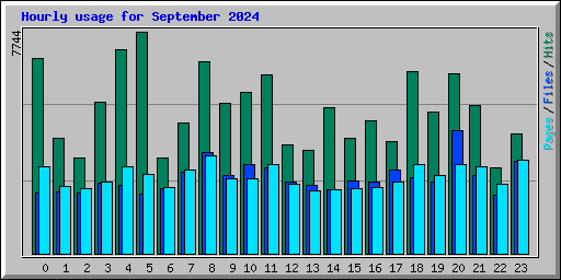 Hourly usage for September 2024