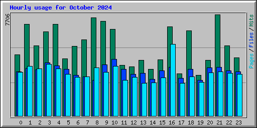 Hourly usage for October 2024