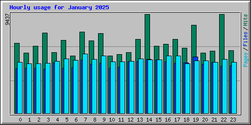 Hourly usage for January 2025