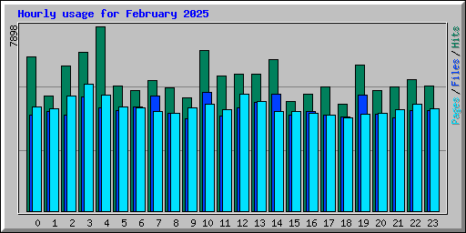 Hourly usage for February 2025