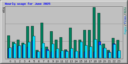 Hourly usage for June 2025