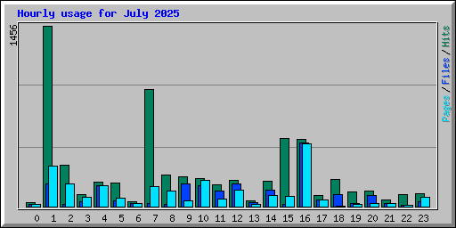 Hourly usage for July 2025