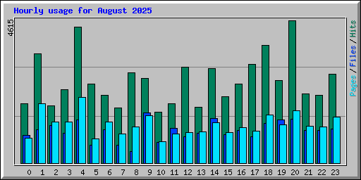 Hourly usage for August 2025