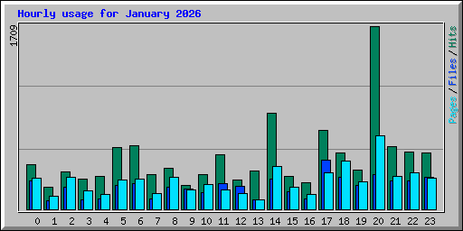Hourly usage for January 2026