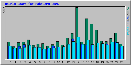 Hourly usage for February 2026
