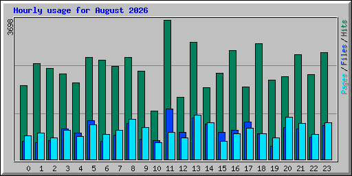 Hourly usage for August 2026