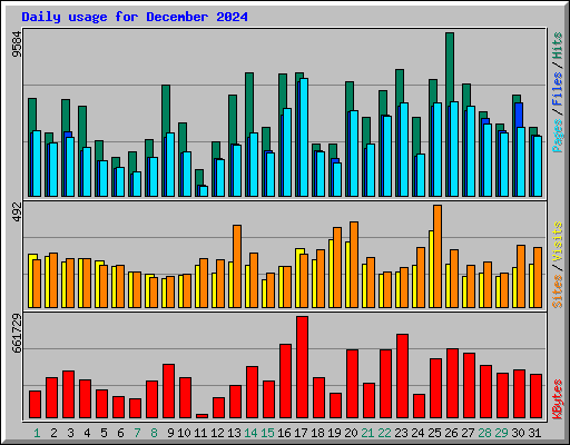 Daily usage for December 2024