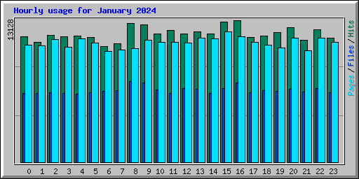 Hourly usage for January 2024