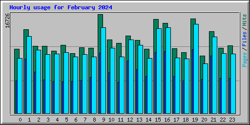 Hourly usage for February 2024