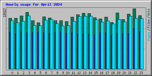 Hourly usage for April 2024