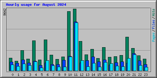 Hourly usage for August 2024