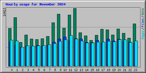 Hourly usage for November 2024