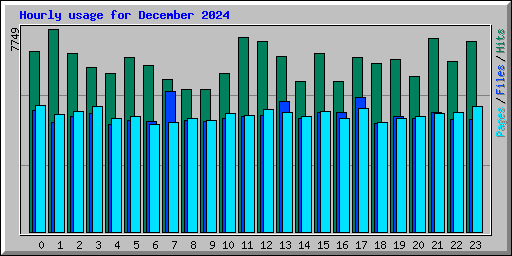 Hourly usage for December 2024