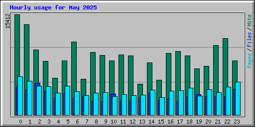 Hourly usage for May 2025
