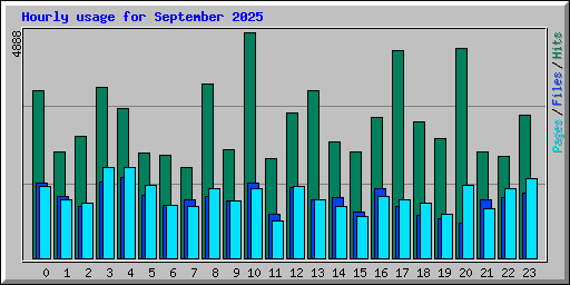 Hourly usage for September 2025