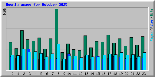 Hourly usage for October 2025