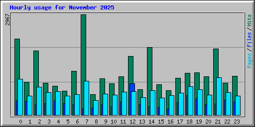 Hourly usage for November 2025
