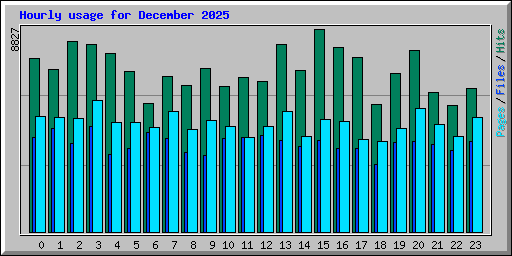Hourly usage for December 2025